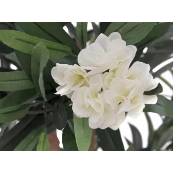 EUROPALMS Oleander Tree dirbtinis augalas, baltas, 120 cm (82507246)