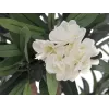 EUROPALMS Oleander Tree dirbtinis augalas, baltas, 120 cm (82507246)