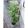 EUROPALMS Dieffenbachia dirbtinis augalas 120cm 82508306