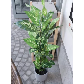 EUROPALMS Dieffenbachia dirbtinis augalas 120cm 82508306