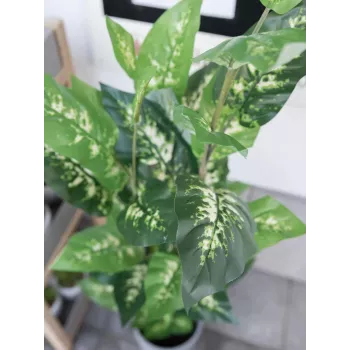 EUROPALMS Dieffenbachia dirbtinis augalas 120cm 82508306