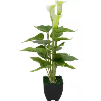 EUROPALMS Calla mini dirbtinė baltos spalvos kalijos gėlė, 43 cm 82540347
