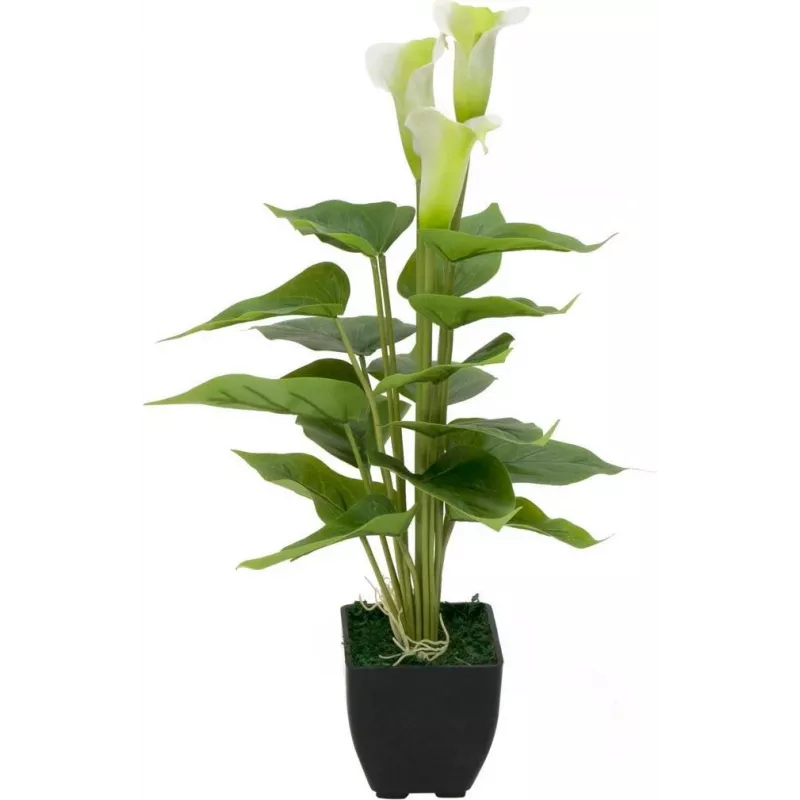 EUROPALMS Calla mini dirbtinė baltos spalvos kalijos gėlė, 43 cm 82540347