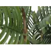 EUROPALMS Kentia Palm dirbtinis augalas 140cm 82511361