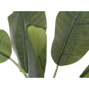 EUROPALMS Dirbtinis bananų medis, 100 cm, žali lapai, juodas vazonas 82509503
