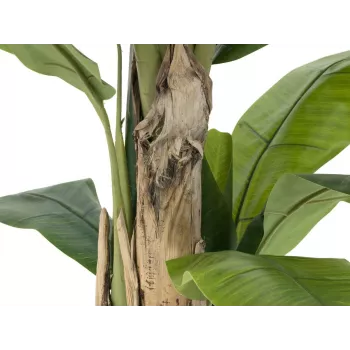 EUROPALMS Dirbtinis bananų medis, 170cm, žali lapai, juoda vaza 82509539