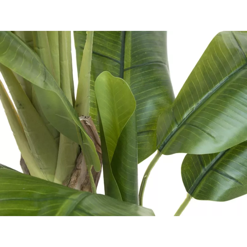EUROPALMS Dirbtinis bananų medis, 170cm, žali lapai, juoda vaza 82509539