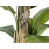 EUROPALMS Dirbtinis bananų medis, 170cm, žali lapai, juoda vaza 82509539