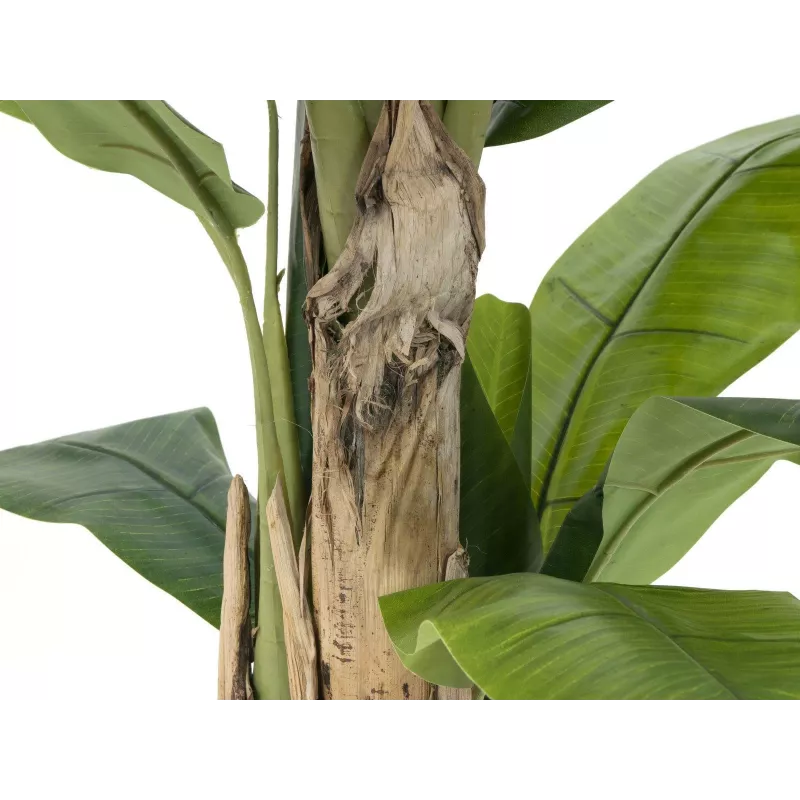 EUROPALMS Dirbtinis bananų medis, 170cm, žali lapai, juoda vaza 82509539