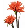 EUROPALMS Dahlia (EVA), dirbtinis augalas, oranžinė, 100cm (82532006)