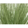 EUROPALMS dirbtinė dekoratyvinė žolė, 65 cm, žalia, juodas vazonas 82600145