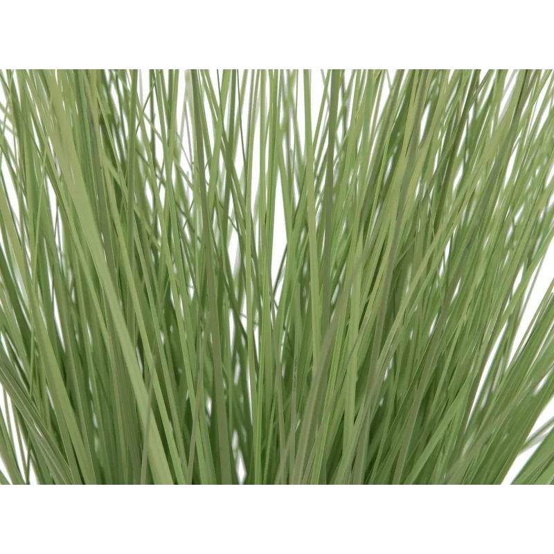 EUROPALMS dirbtinė dekoratyvinė žolė, 65 cm, žalia, juodas vazonas 82600145