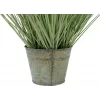 EUROPALMS dirbtinė dekoratyvinė žolė, 65 cm, žalia, juodas vazonas 82600145