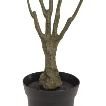 EUROPALMS dirbtinis dracenos augalas, žalias-raudonas, 90cm 82505778