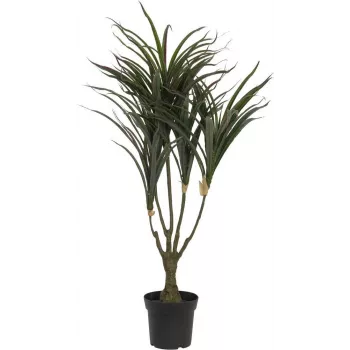 EUROPALMS dirbtinis dracenos augalas, žalias-raudonas, 90cm 82505778