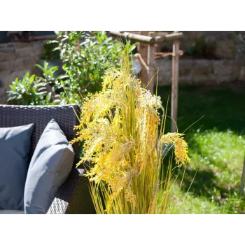 EUROPALMS dirbtinės nendrių žolės puokštė, 118 cm 82600136