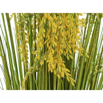 EUROPALMS dirbtinės nendrių žolės puokštė, 118 cm 82600136