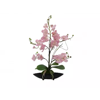 EUROPALMS Orchid Arrangement (EVA), dirbtinė, purpurinė (82530339)