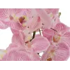 EUROPALMS Orchid Arrangement (EVA), dirbtinė, purpurinė (82530339)
