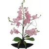 EUROPALMS Orchid Arrangement (EVA), dirbtinė, purpurinė (82530339)