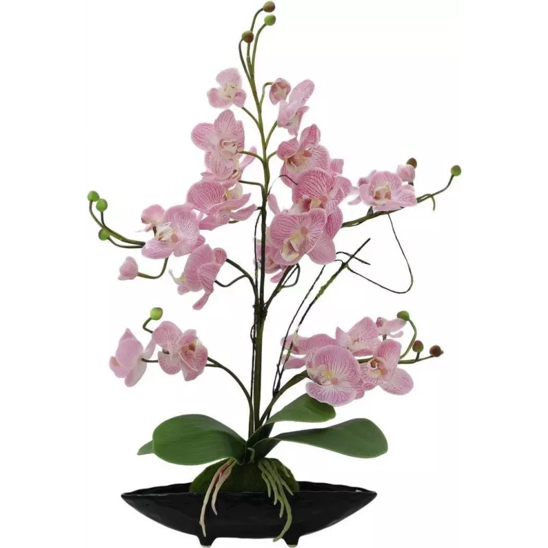 EUROPALMS Orchid Arrangement (EVA), dirbtinė, purpurinė (82530339)