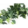 EUROPALMS Pothos Bush Screen Classic, dirbtinis, 100cm 82502203