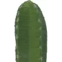 EUROPALMS Meksikietiškas kaktusas dirbtinis augalas, žalias, 97 cm 82801070