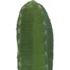 EUROPALMS Meksikietiškas kaktusas dirbtinis augalas, žalias, 97 cm 82801070