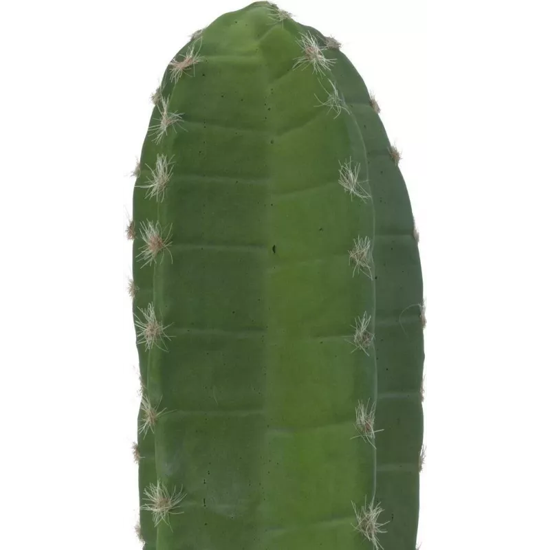 EUROPALMS Meksikietiškas kaktusas dirbtinis augalas, žalias, 97 cm 82801070