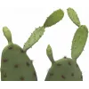 EUROPALMS Leaf Cactus Dirbtinis Augalas, 75cm 82600068