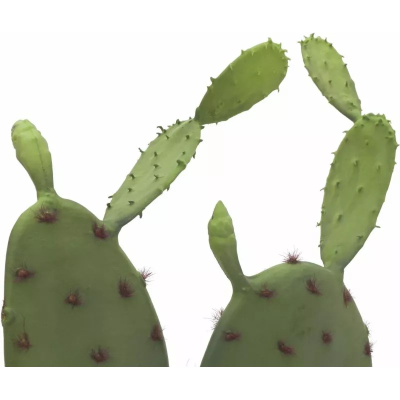 EUROPALMS Leaf Cactus Dirbtinis Augalas, 75cm 82600068