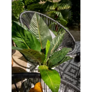 EUROPALMS Dirbtinis mangoldų krūmas, 45cm, žalias 82508302