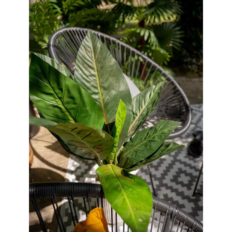 EUROPALMS Dirbtinis mangoldų krūmas, 45cm, žalias 82508302
