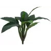 EUROPALMS Dirbtinis mangoldų krūmas, 45cm, žalias 82508302