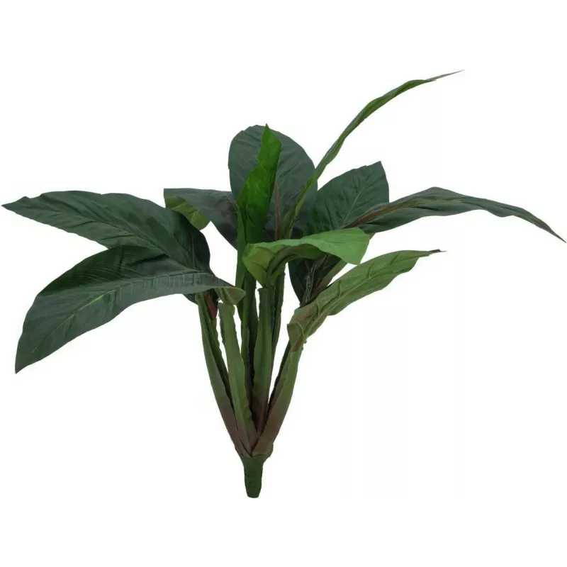 EUROPALMS Dirbtinis mangoldų krūmas, 45cm, žalias 82508302