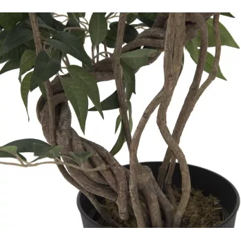 EUROPALMS Ficus daugiaspiralis dirbtinis augalas, 130cm 82806314