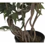 EUROPALMS Ficus daugiaspiralis dirbtinis augalas, 130cm 82806314