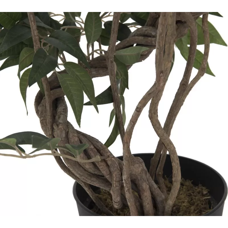 EUROPALMS Ficus daugiaspiralis dirbtinis augalas, 130cm 82806314
