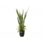 EUROPALMS Succulent Mix dirbtinis augalas, 190cm 82600035