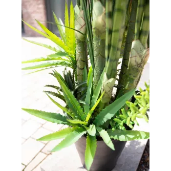 EUROPALMS Succulent Mix dirbtinis augalas, 190cm 82600035