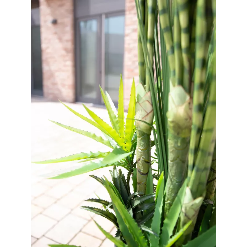EUROPALMS Succulent Mix dirbtinis augalas, 190cm 82600035