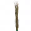 EUROPALMS dirbtinė nendrinė žolė, chakių spalvos, 127 cm 82505853
