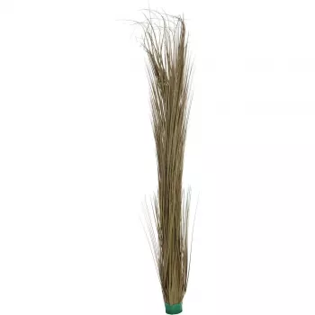 EUROPALMS dirbtinė nendrinė žolė, chakių spalvos, 127 cm 82505853