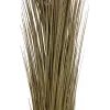 EUROPALMS dirbtinė nendrinė žolė, chakių spalvos, 127 cm 82505853
