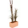 EUROPALMS dirbtinė nendrinė žolė, chakių spalvos, 127 cm 82505853