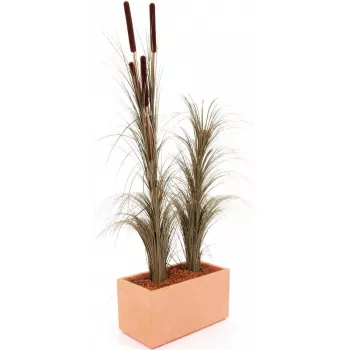 EUROPALMS dirbtinė nendrių žolė su šiurkščiaisiais vikšrais, tamsiai ruda, 152 cm 82505857