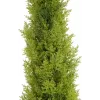 EUROPALMS Leyland Cypress dirbtinis augalas, 120 cm, žali lapai, juodas vazonas 82606964
