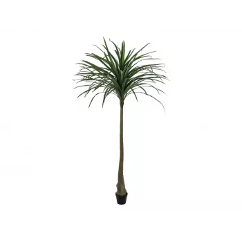EUROPALMS Dracena dirbtinis augalas, žalias, 220cm 82505798