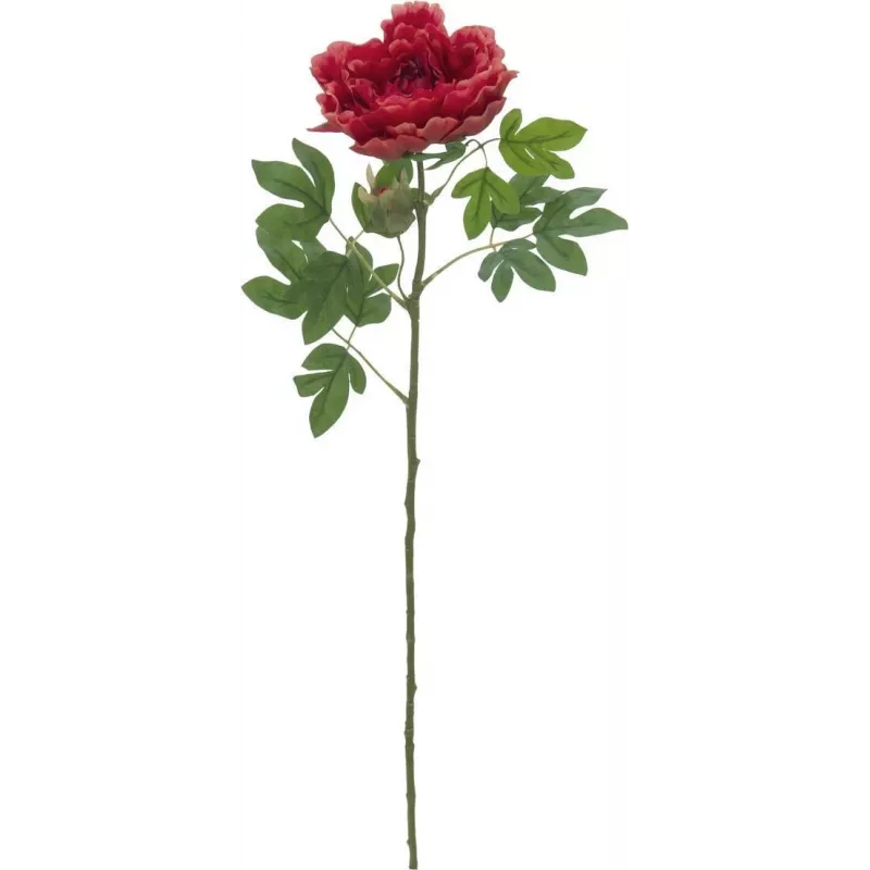 EUROPALMS Classic bijūno šakelė dirbtinis augalas, magenta, 80cm 82530211