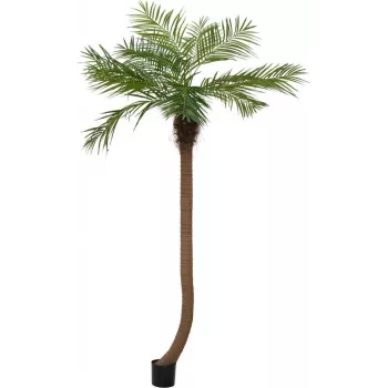 EUROPALMS Luxor Curved Artificial Phoenix Palm, 240cm 82510726